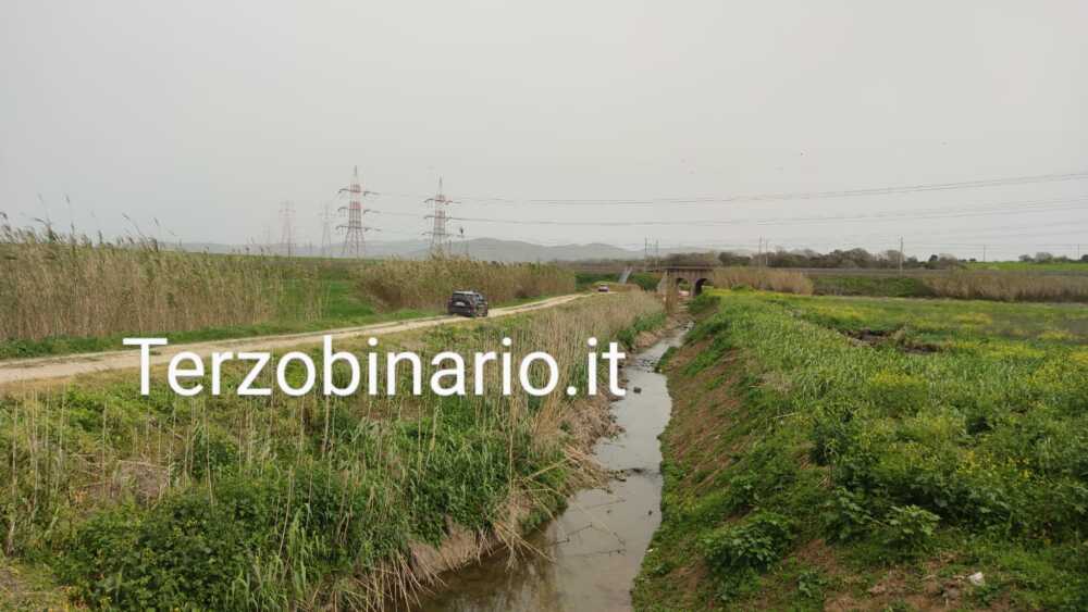 nicoletta eusepi scomparsa tarquinia civitavecchia sant'agostino ricerche