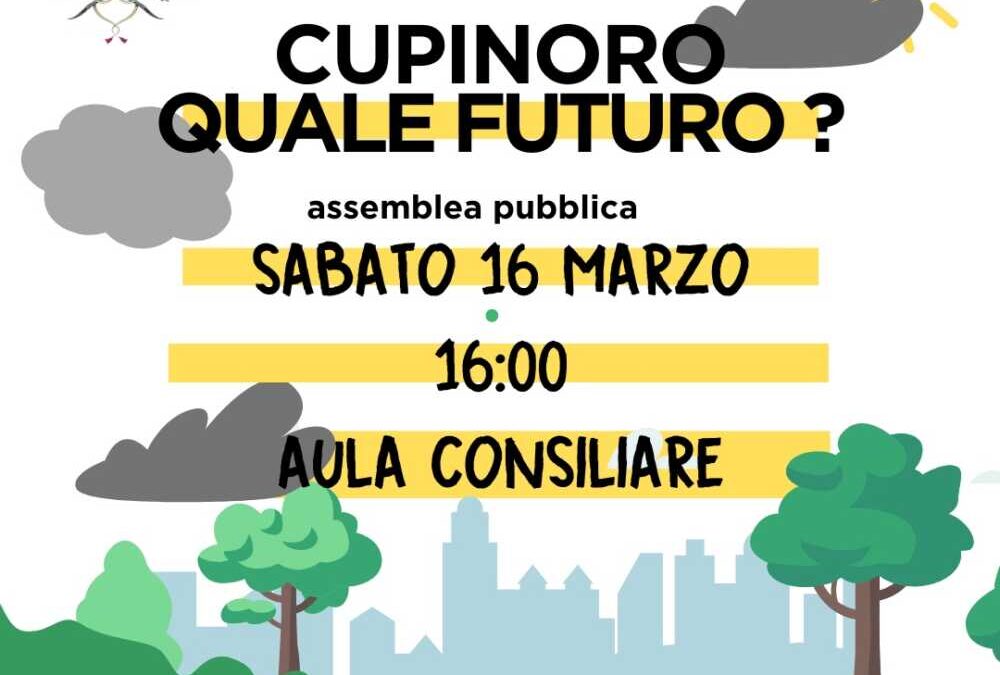 “Cupinoro, quale futuro ?” si recupera l’assemblea pubblica a Bracciano