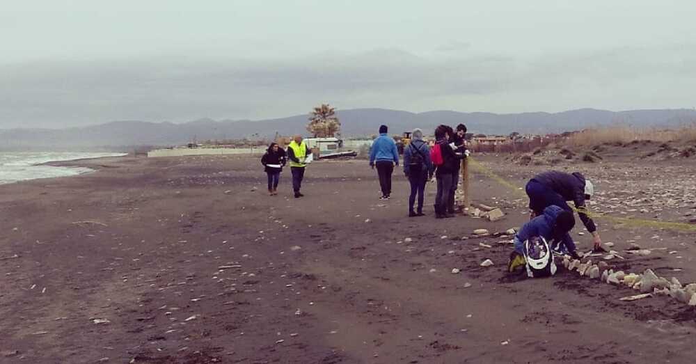 campo fratino torre flavia campo fratino torre flavia