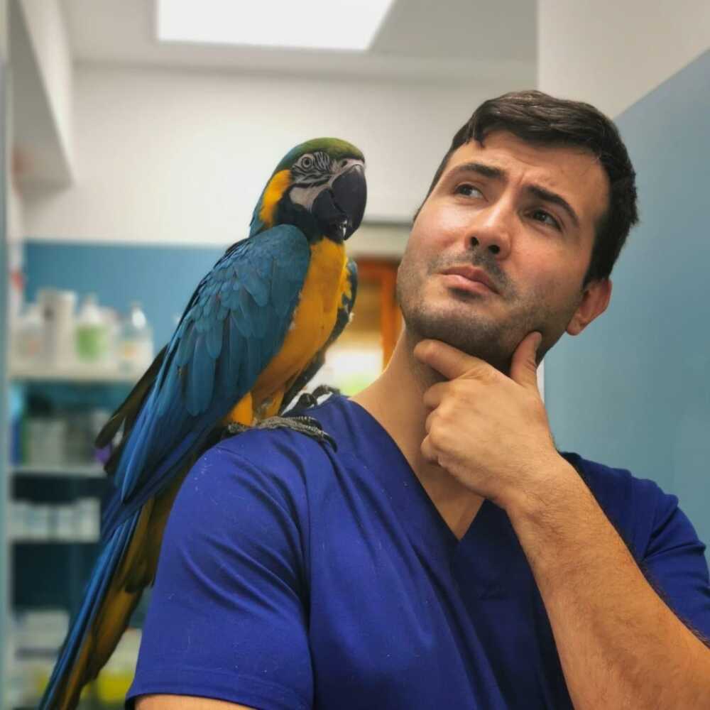 dottor pet morto a 37anni