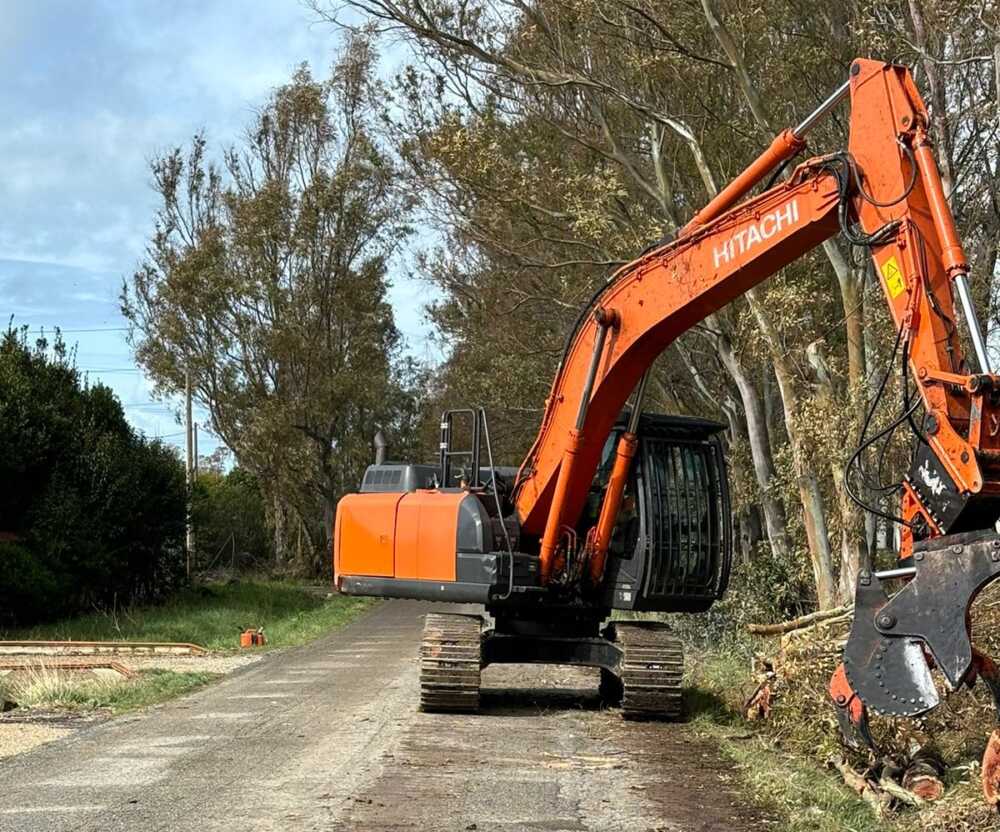 alberature in via Fontanatetta e strada di Sant’Agostino