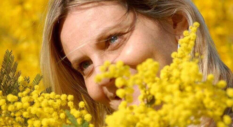mimosa festa della donna