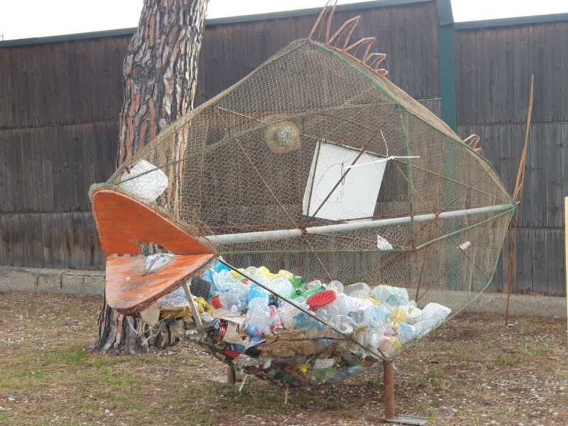 pesce mangiaplastica santa marinella 1