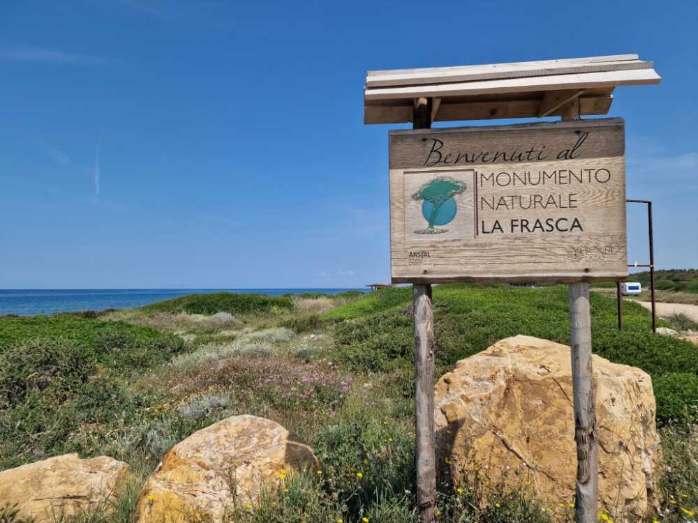 pineta frasca civitavecchia targa