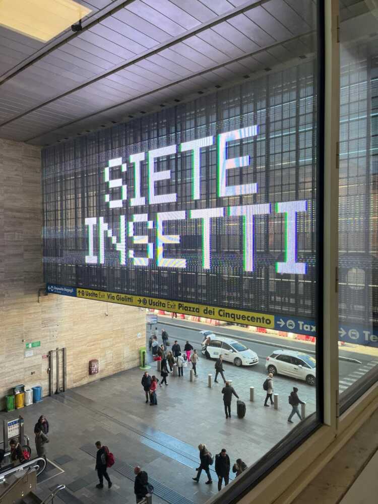 siete insetti foto siete insetti foto