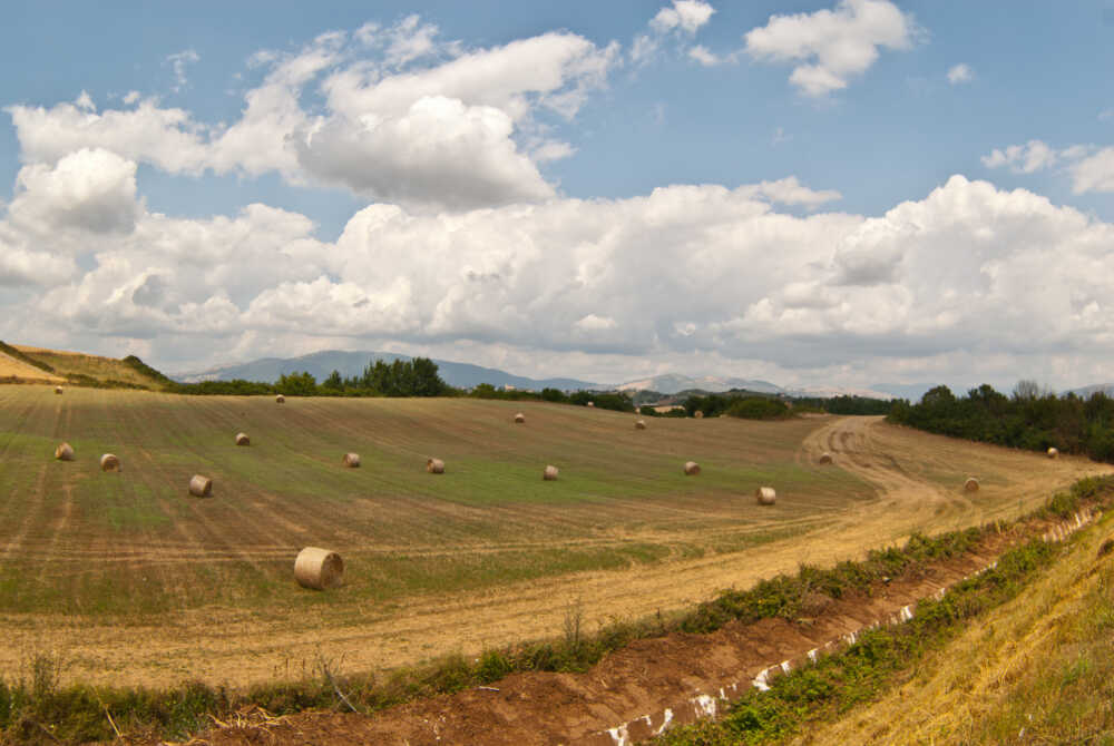 Bonifica agro romano