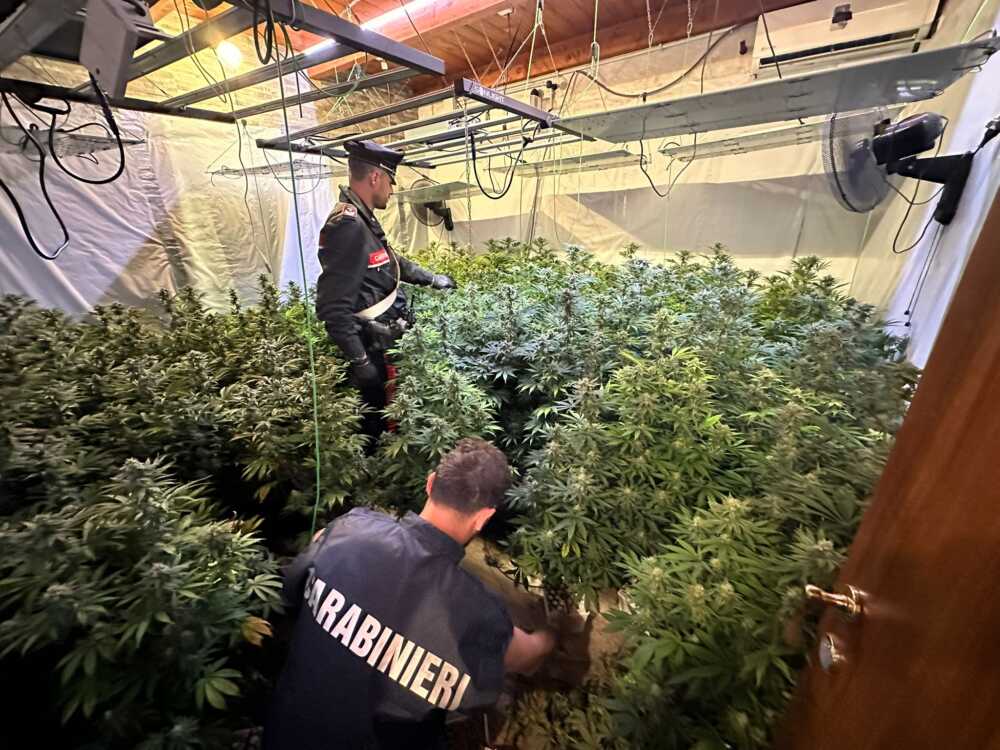 POMEZIA – i Carabinieri intervenuti (5) POMEZIA - i Carabinieri intervenuti (5)