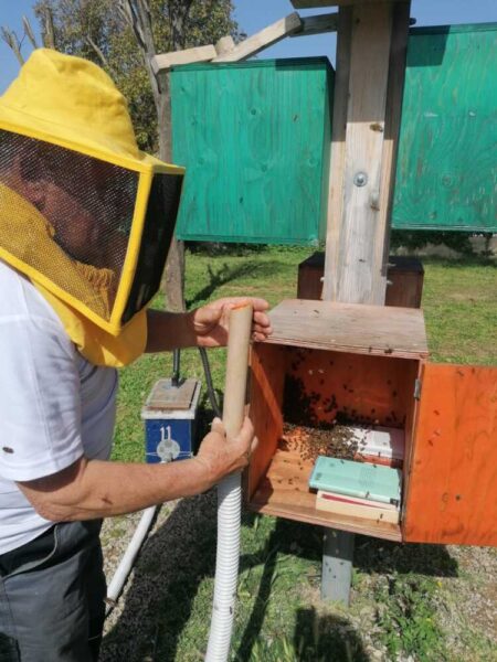 api-parco-vannini-cerenova-3