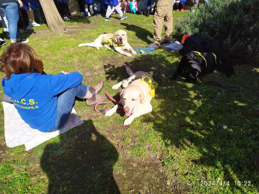 cagnoloni emozioniamoci progetto scuolambiente cerveteri