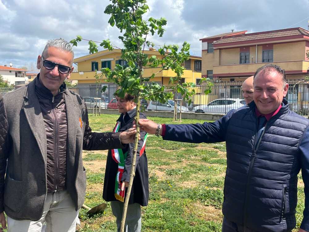 cento nuovi alberi per fiumicino