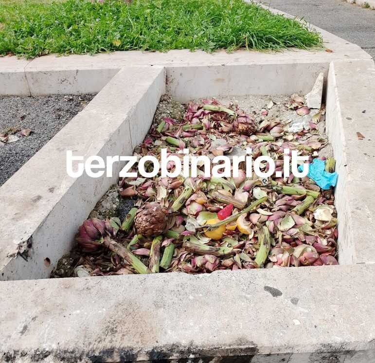 ladispoli immondizia sporcizia parchi carciofi nelle aiuole 1