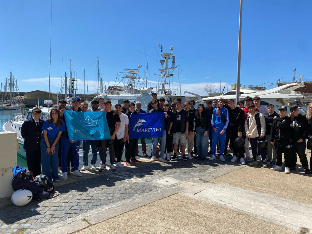 marevivo calamatta civitavecchia marevivo calamatta civitavecchia