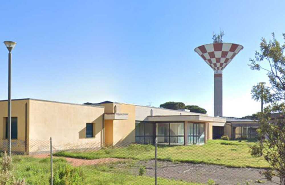 montalto fungo montalto fungo