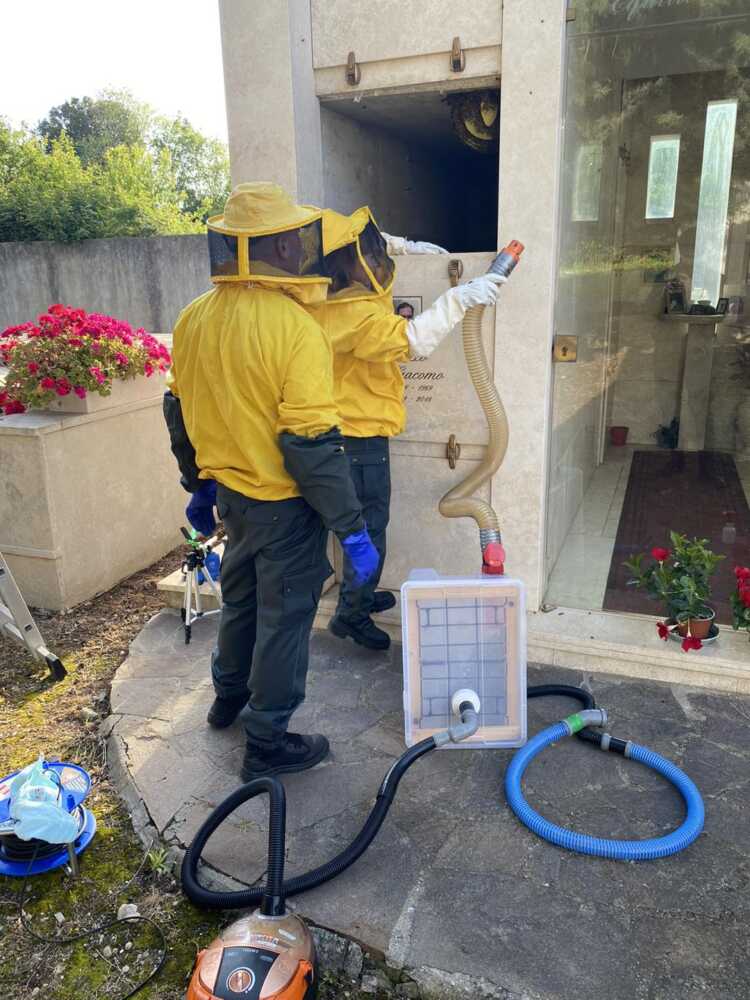 nido api cerveteri ecozoofile nido api cerveteri ecozoofile