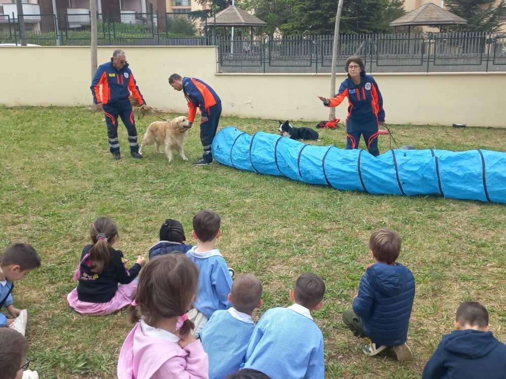 protezione civile civitavecchia scuole cittadina protezione civile civitavecchia scuole cittadina