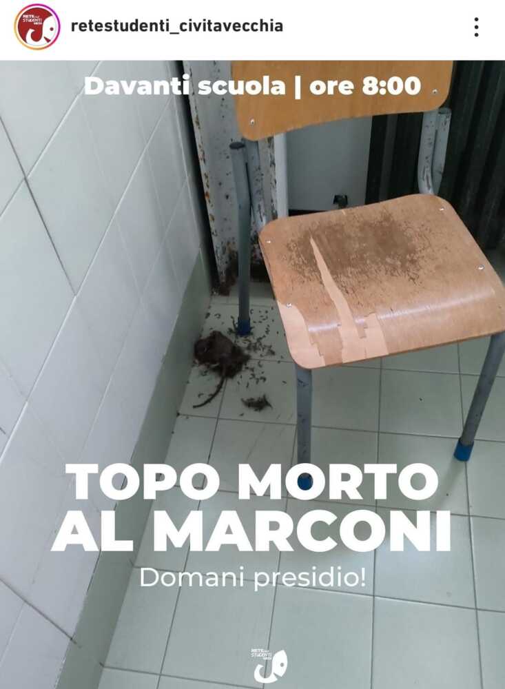topo morto marconi rete studenti medi