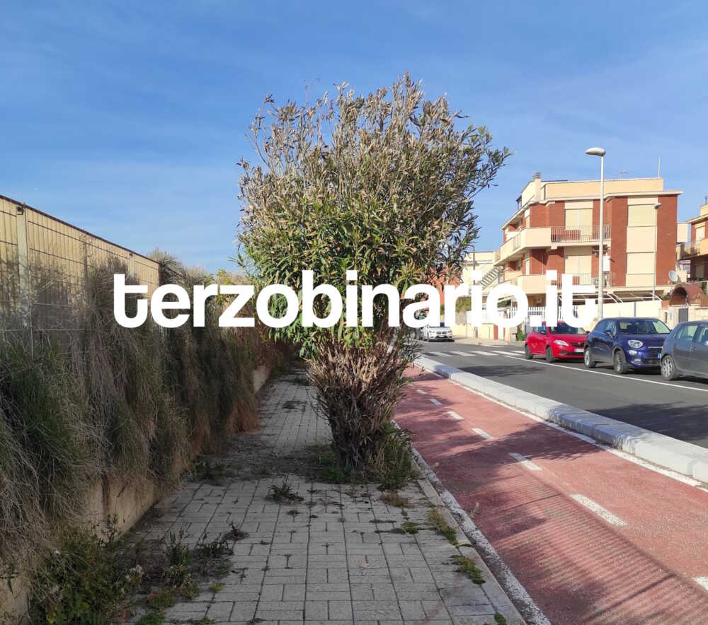 via sanremo oleandro ladispoli pista ciclabile 1 via sanremo oleandro ladispoli pista ciclabile 1