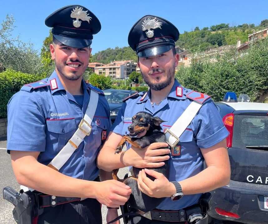 BRACCIANO - Salvataggio cane Tokyo (1)