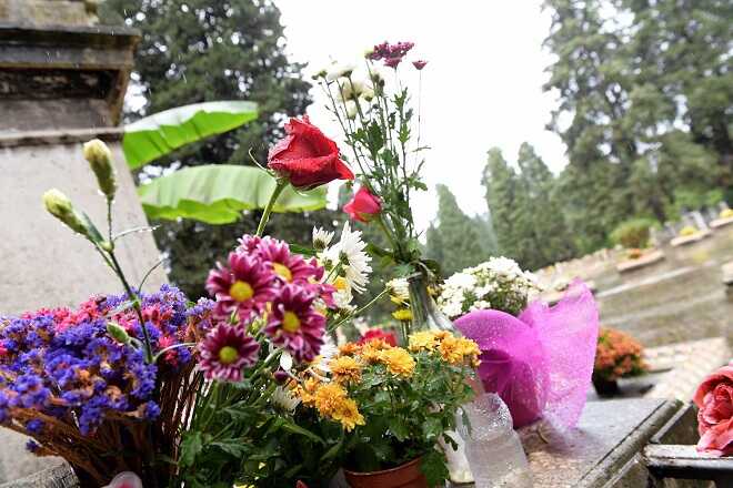 Cimitero flaminio roma