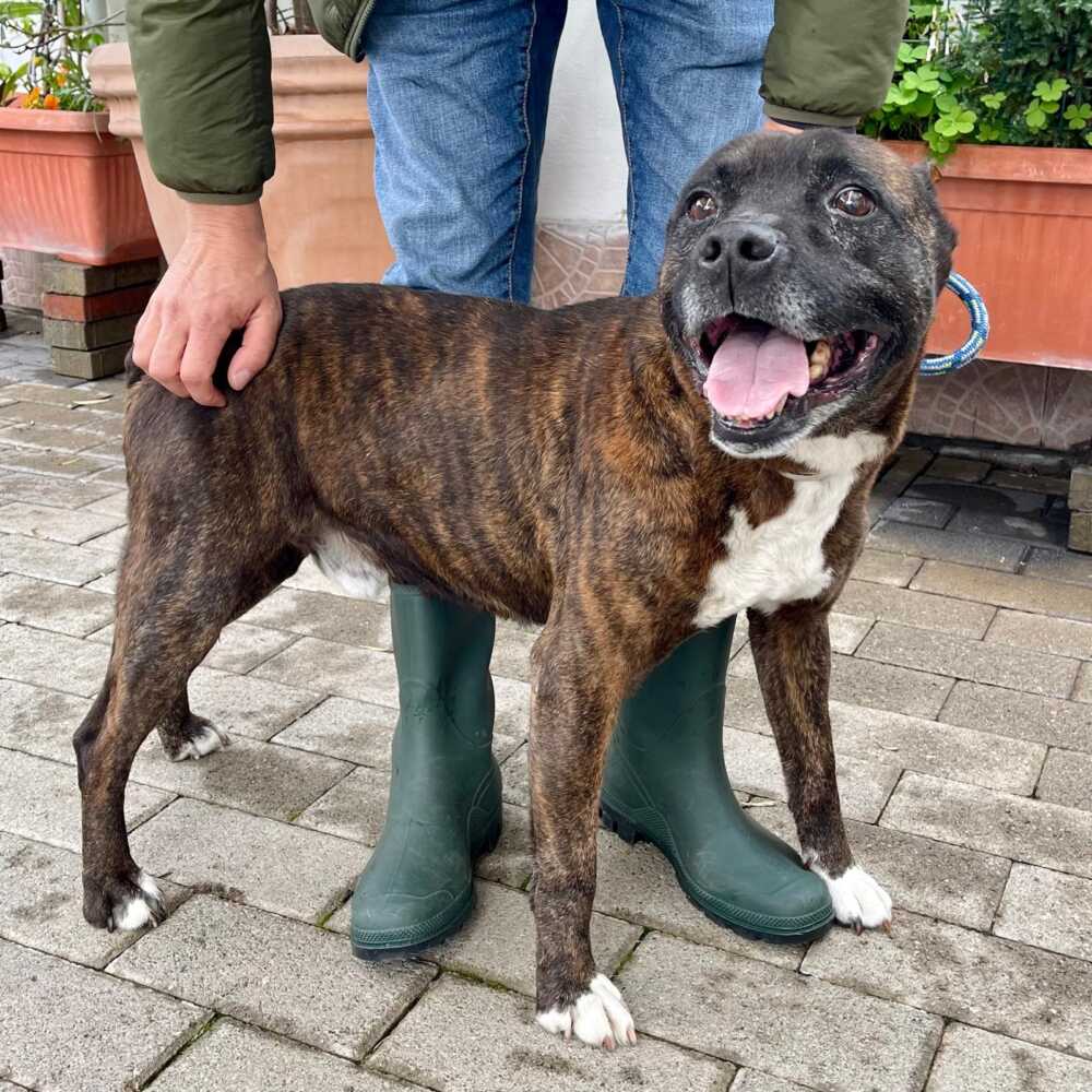 Lionello comune di Marcallo con Casone