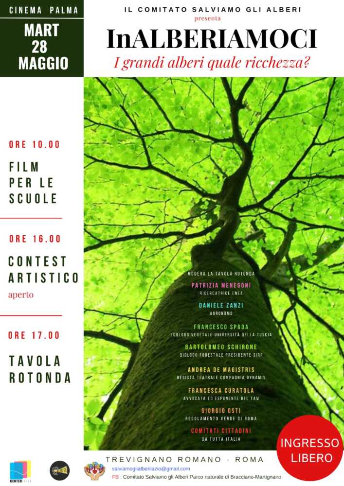 inalberiamoci trevignano inalberiamoci trevignano