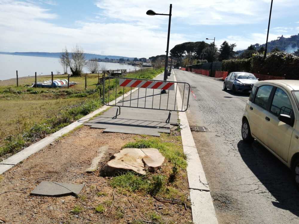 abbattimento alberi bracciano 1 abbattimento alberi bracciano 3