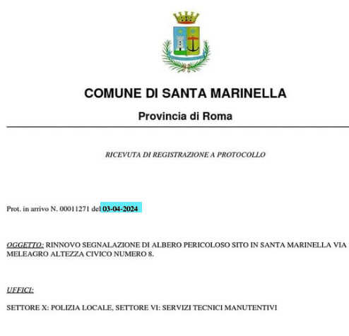 albero caduto santa marinella segnalazione marino