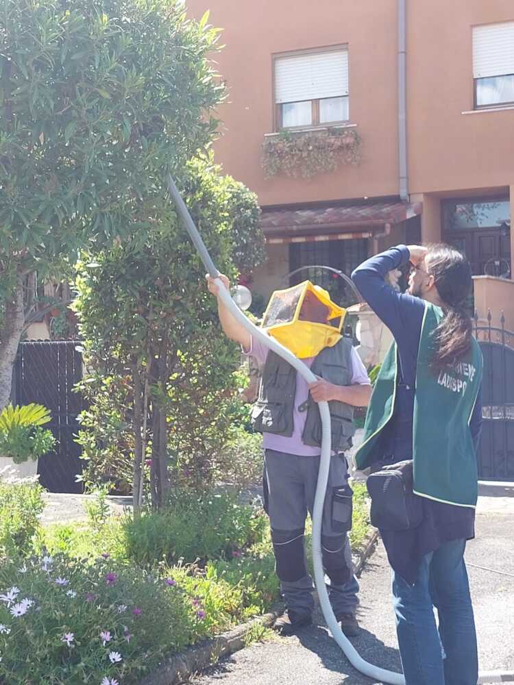 alveare api fareambiente ladispoli 4