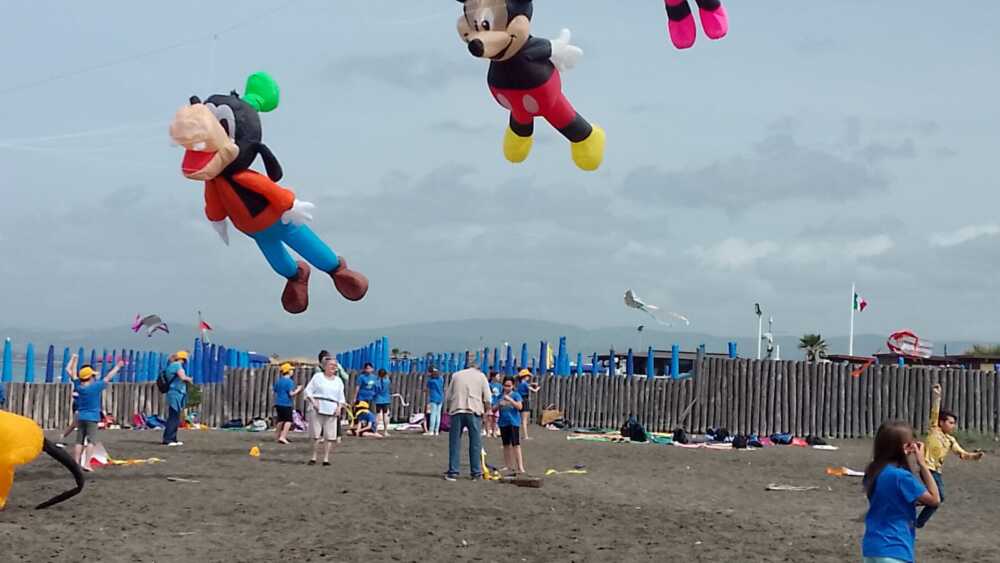 aquiloni alti scuola salvo d'acquisto