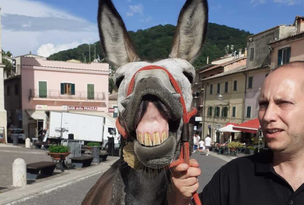 Torna Asinitaly ad Allumiere