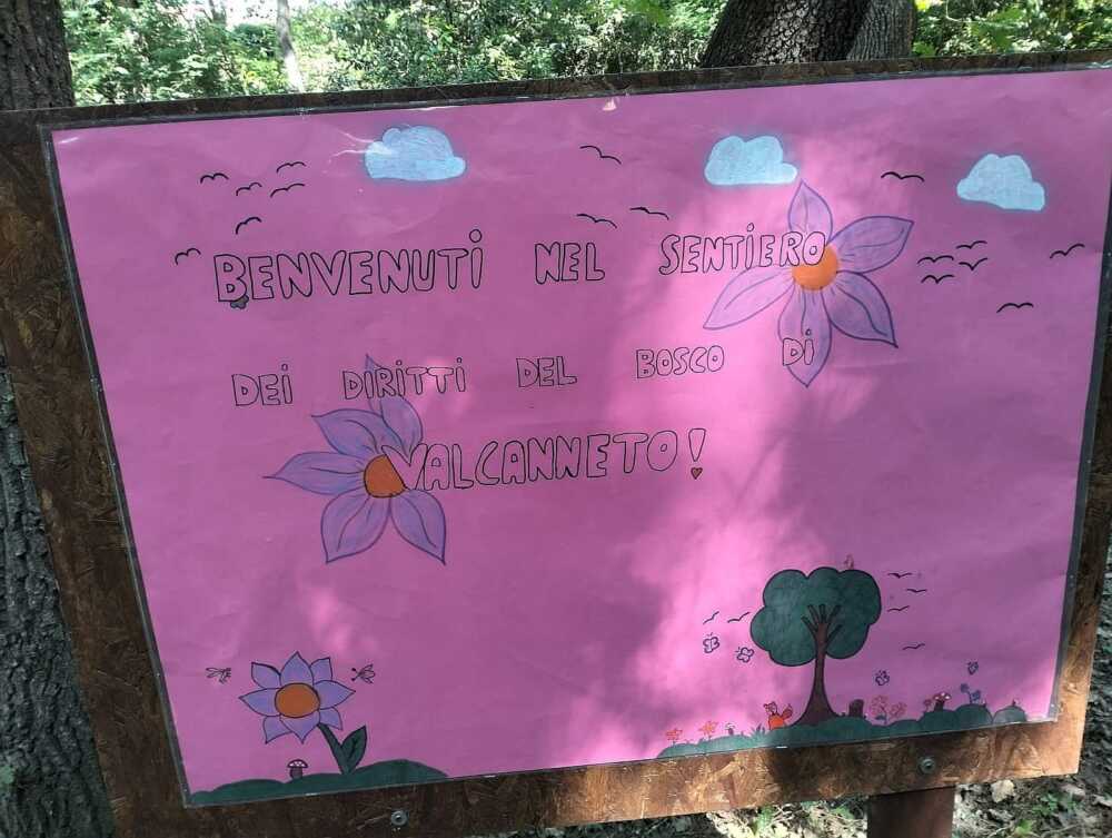 bosco valcanneto cartelli giornata ambiente (1)