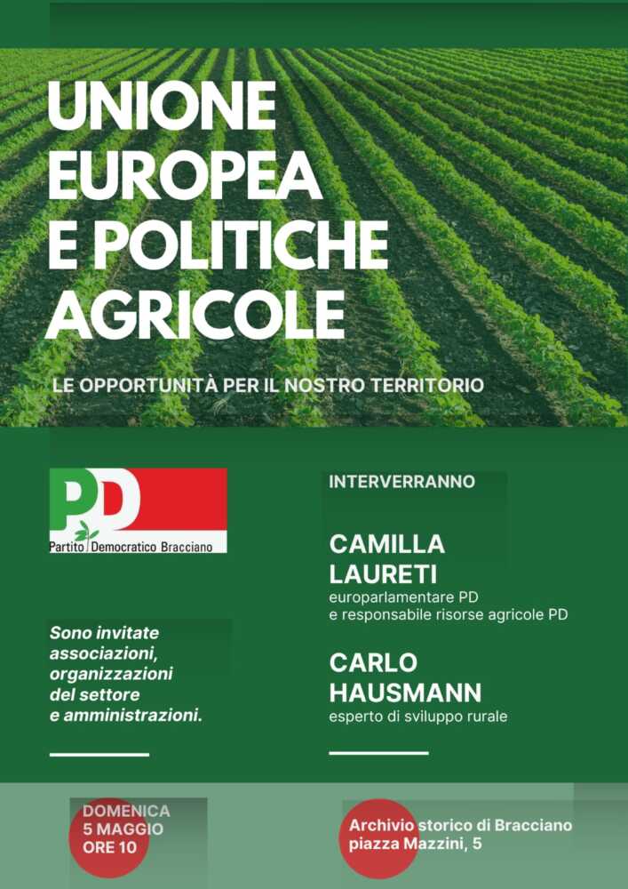convegno pd bracciano