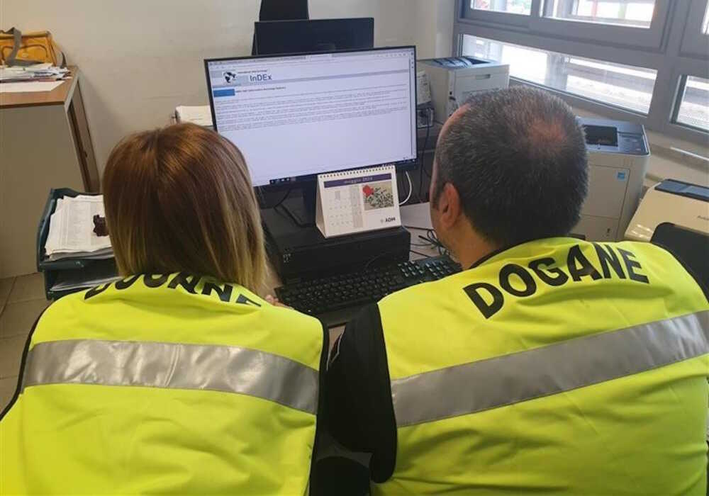 dogane civitavecchia