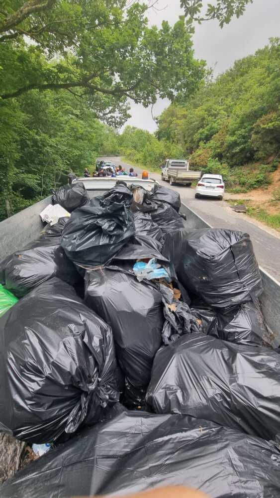 maxi bonifica a tolfa