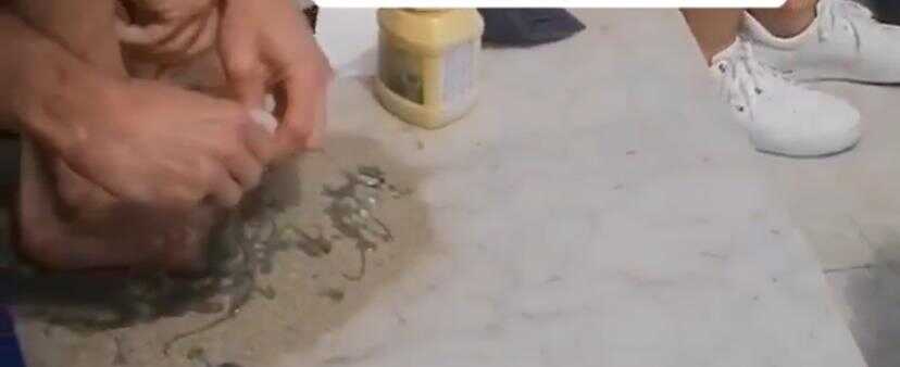 protesta internazionali