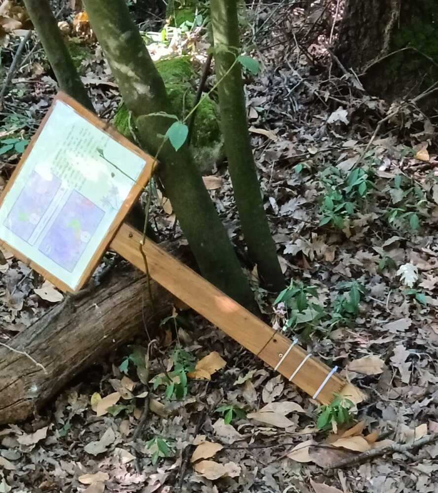 Bosco Valcanneto - Atti vandalici2