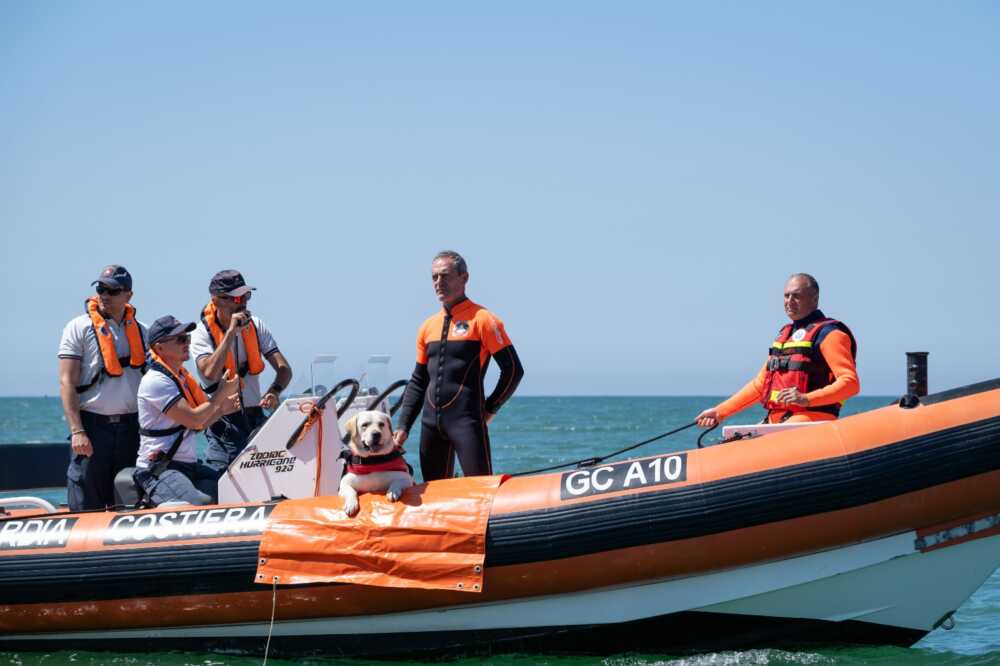 Idromoto della Guardia Costiera e cagnoloni del Sics a Fregene: esercitazione di salvataggio