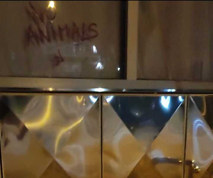 scritta animali circo ladispoli scritta animali circo ladispoli