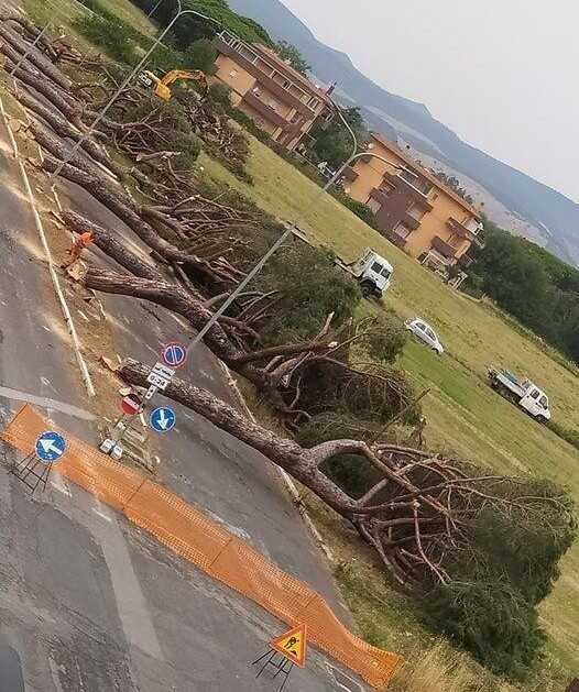 alberi abbattuti campo mare cerenova
