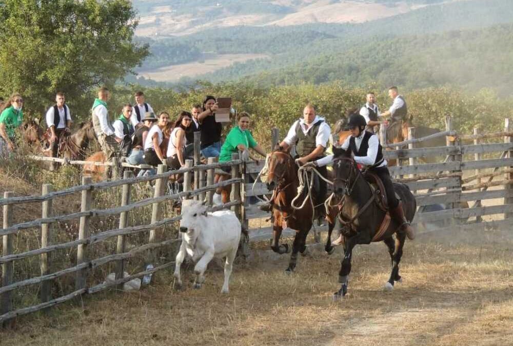 Pro Loco e rioni di Tolfa al lavoro per il 34^ Torneo dei Butteri anche in notturna
