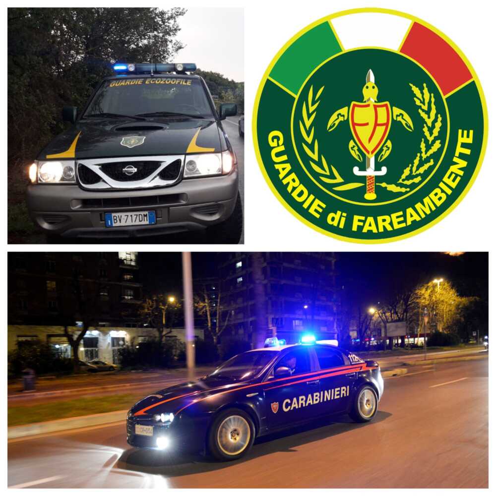 fareambiente cerveteri carabinieri fareambiente cerveteri carabinieri