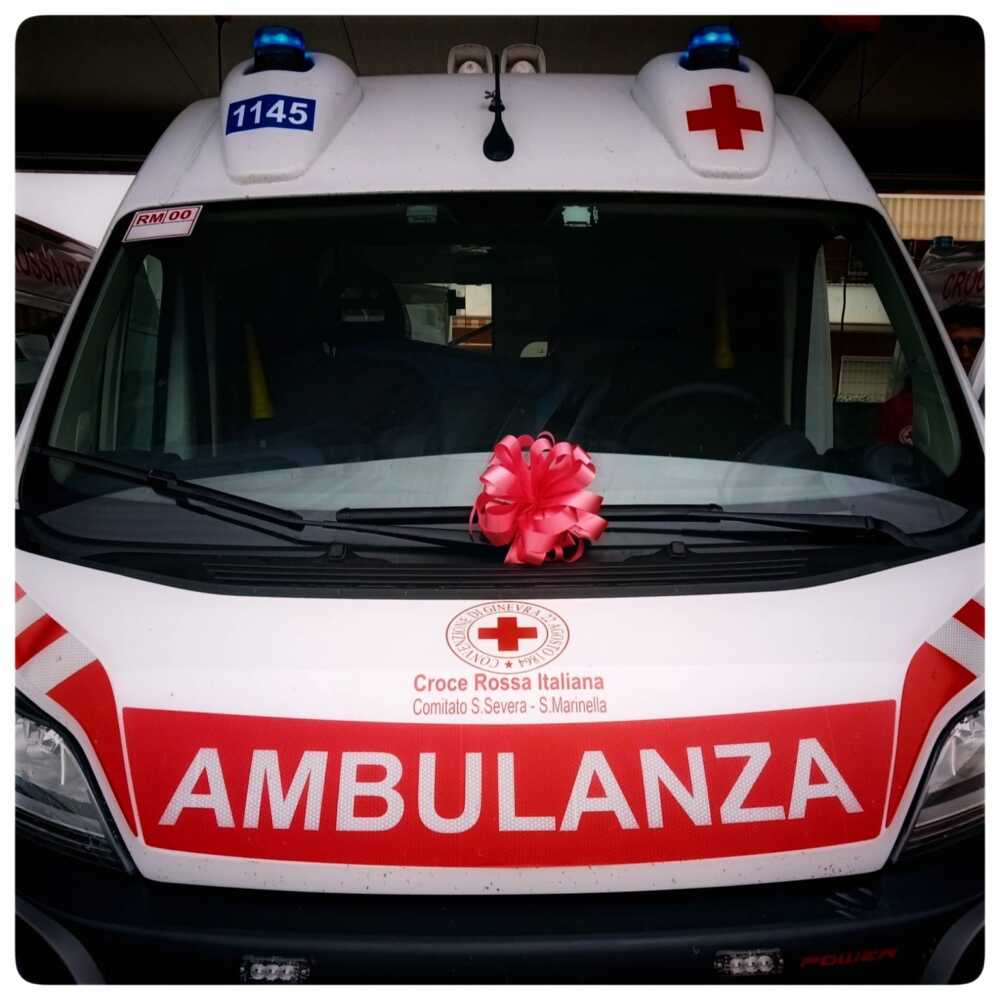 fiocco rosa cri croce rossa santa severa parto fiocco rosa cri croce rossa santa severa parto