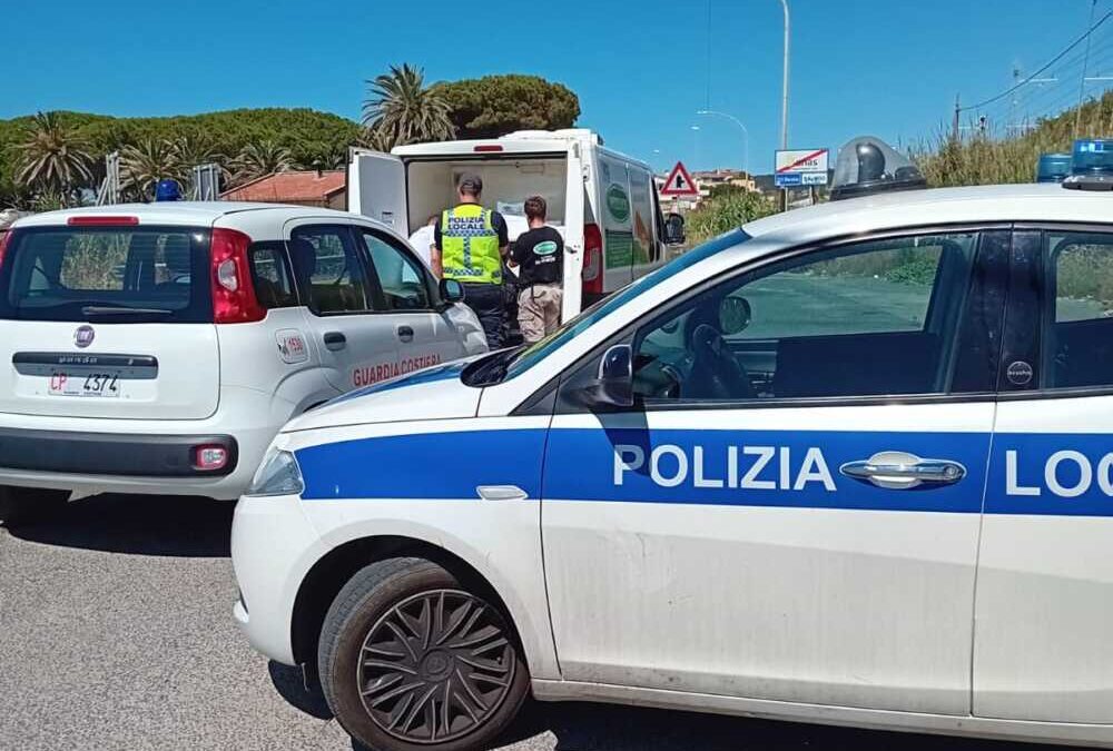 Controllo di prodotti ittici di Municipale Santa Marinella e Guardia Costiera
