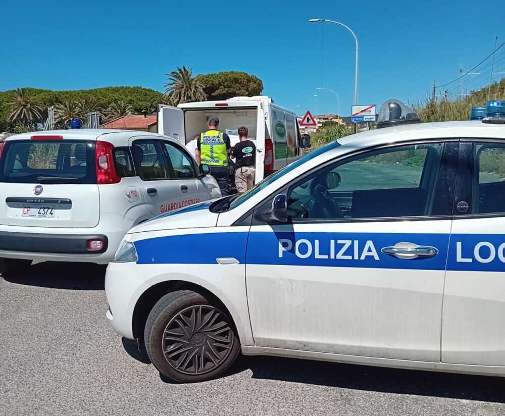 municipale santa marinella guardia costiera municipale santa marinella guardia costiera