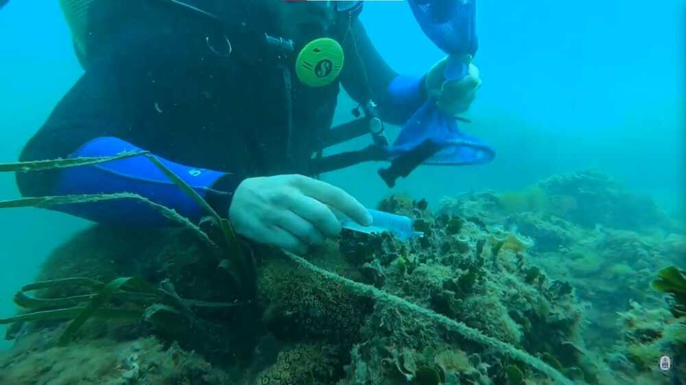 Il Roan di Civitavecchia e UniTuscia “lanciano” l’astice a Ponza per il ripopolamento
