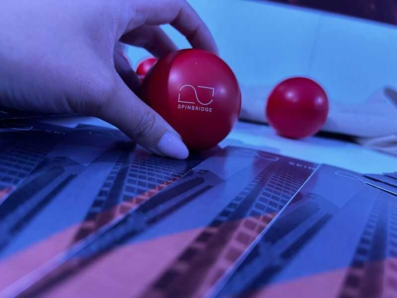 spinbridge recupero crediti flavia servizi