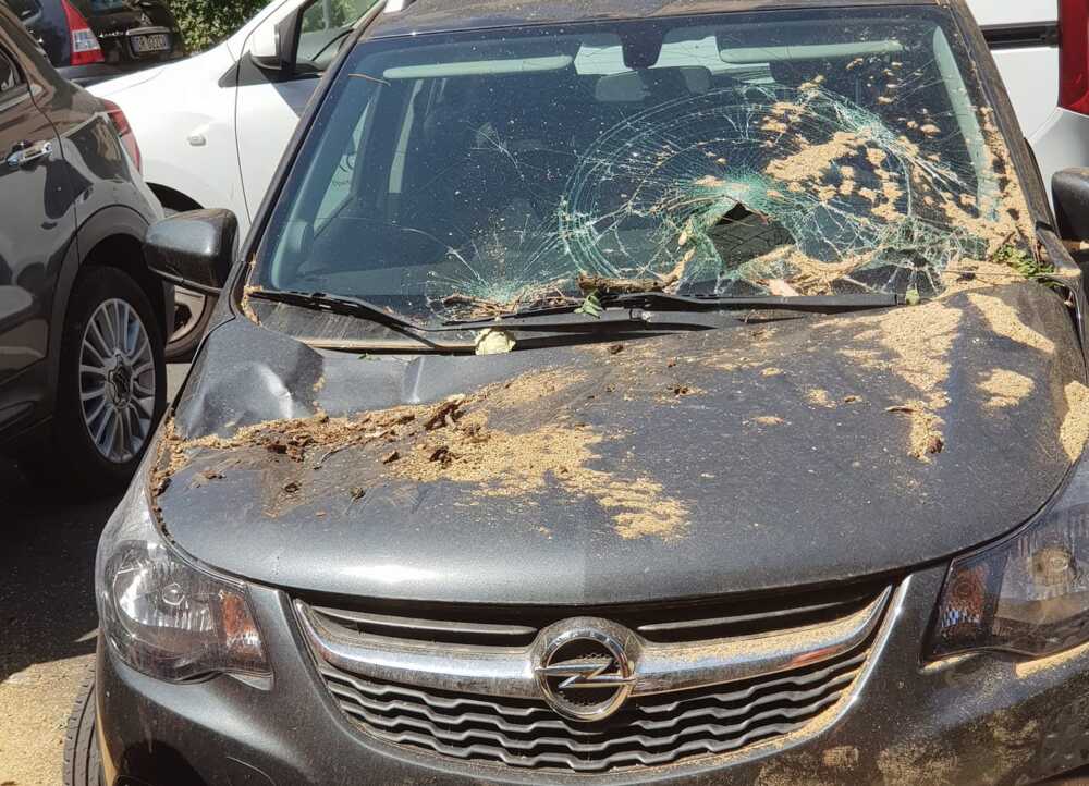 451449878_7829708343779800_502585625028057471_n