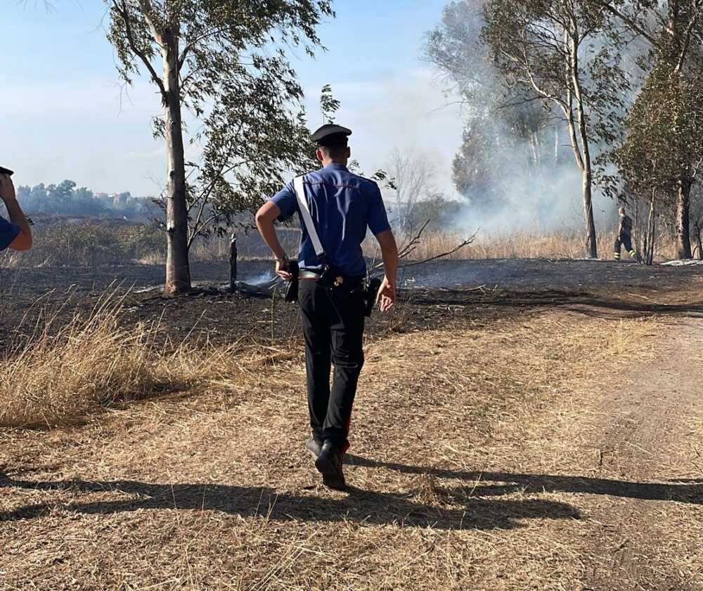 8158adfc-8f50-472d-955f-c2b949ec9fe3