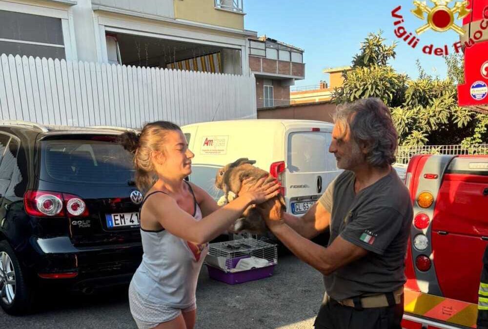 Incendio a Santa Marinella, coniglietto salvato dai Vigili del fuoco di Civitavecchia
