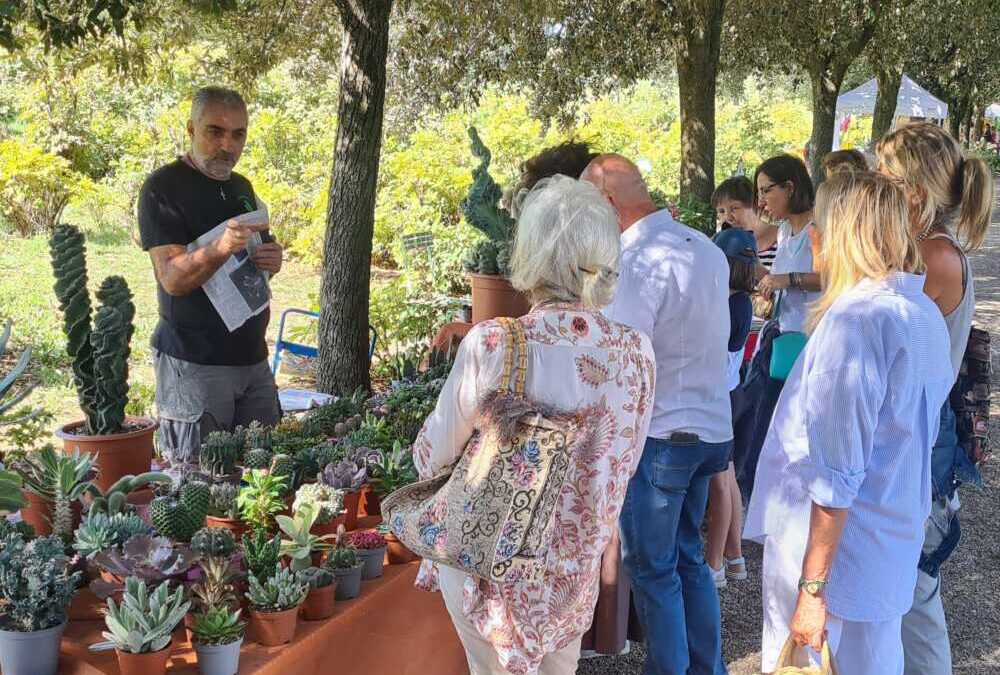 Verdi e Contenti, appuntamento con il pollice verde di Chiara Brunori il 14 e 15 settembre